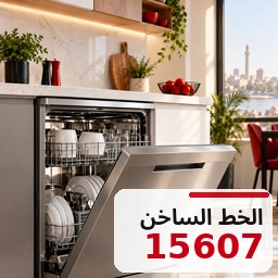 صيانة بيكو